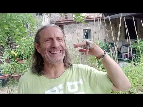 The Calabrian Mafia participated in the reconstruction of East Germany Discovered Now?