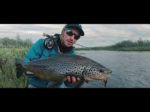 Kharlovka Trout Program 2019 – fishbreak