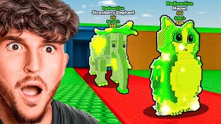 Video thumbnail image