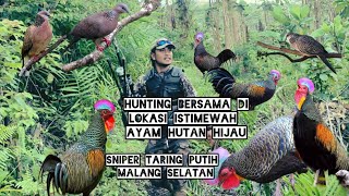 Download lagu Hunting Bersama Di SPOTT ISTIMEWAH AYAM HUTAN HIJAU BOS Q mp3 Download lagu Hunting Bersama Di SPOTT ISTIMEWAH AYAM HUTAN HIJAU BOS Q mp3