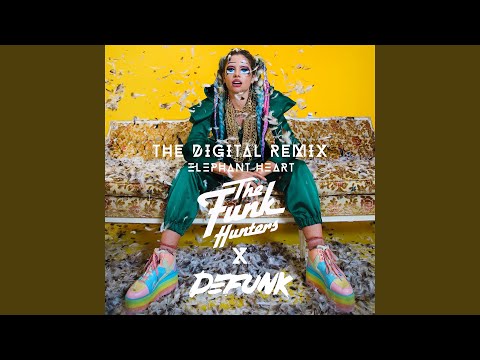 The Digital (The Funk Hunters & Defunk Remix)