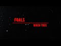 Foals - Birch Tree (Lyrics)