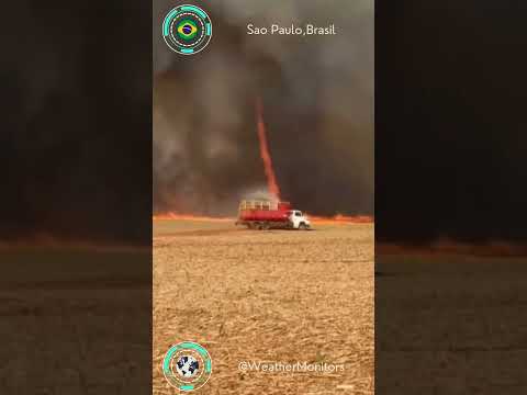 🇧🇷 Tornado de fuego avistado en Brasil #brasil #ultimahora #saopaulo #internacionales