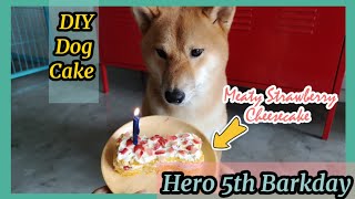 My Shiba Inu Eat Pasta for the First Time || DIY Dog Cake || My Shiba inu Barkday || HerotheShibaInu