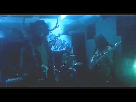 Video thumbnail for Reproductive