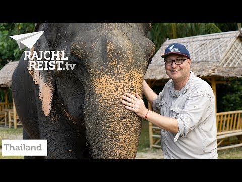 RAJCHL REIST nach Thailand: Alles über das Elefanten-Abenteuer von Khao Sok