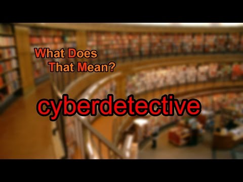 What does cyberdetective mean?