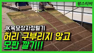모판깔기 이제 아무것도 아닙니다. 제광육묘상자정렬기.