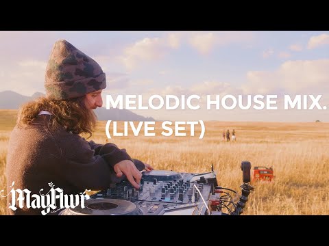 MayFlwr  | Something Greater LIVE (Melodic and Progressive House Mix)