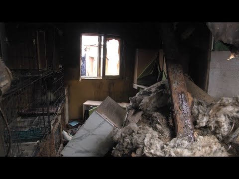 Выпуск программы “День” от 11 декабря 2024г.