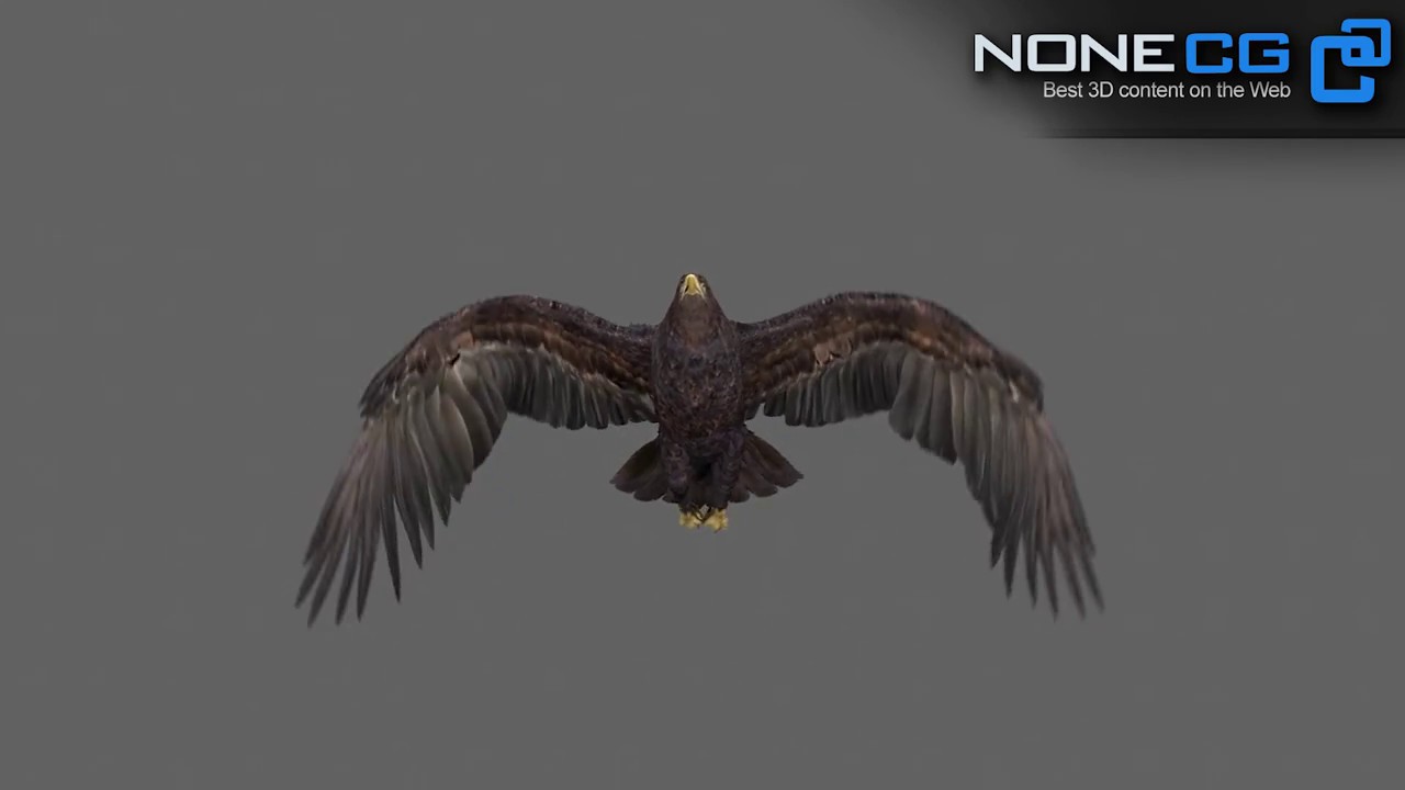 3D Golden Eagle