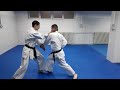 Karate Shotokan Kata And Bunkai Bassai Sho Karate NOKACI