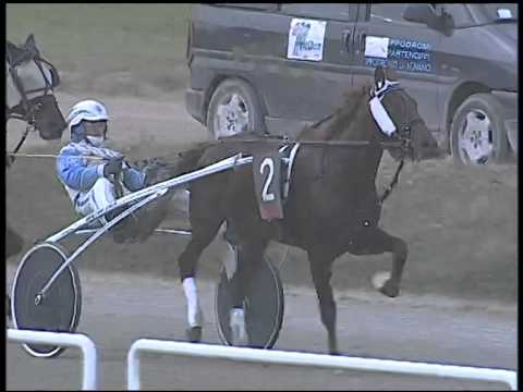 Trotto 08/01/2015 - 2° corsa