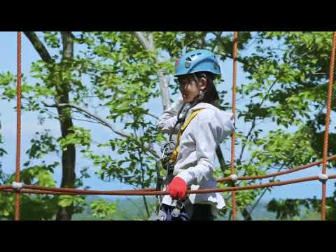 モビリティリゾートもてぎ 森のジップライン ムササビ おうちでテーマパーク モビリティリゾートもてぎ 森のジップライン ムササビ おうちでテーマパーク