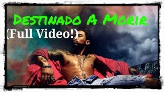 Miguel- Destinado a morir
