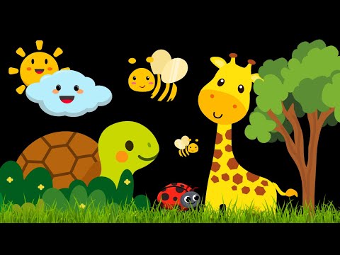 Baby Sensory Video - Tummy Time - Sensory Videos for Babies - Visual Stimulation for Newborn #baby