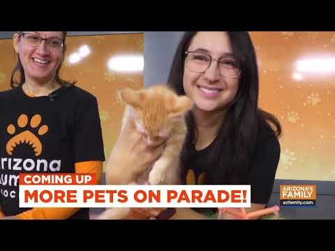 Pets on Parade (Full Episode) December 13, 2025 - YouTube