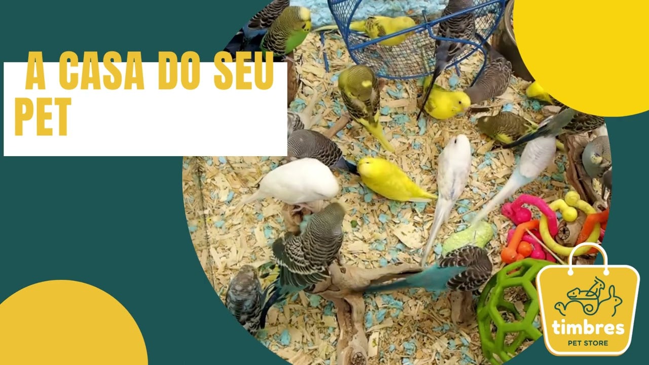 Vídeo do produto