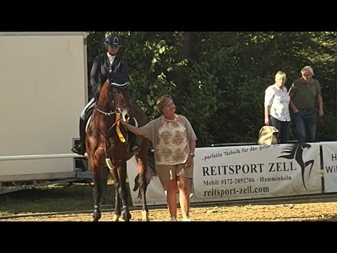 Casanova De Beaufour DXB (Kashmir Van’t Schuttershof x Diamant De Semilly x Toulon) 🥇👌🏻☝🏻💫