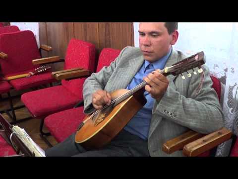 În Mreaja Vieții - Vesel Saltă, Orchestra