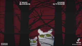 Drake - Two Birds, One Stone (432hz)