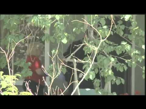 Midday News Webcast: June 9, 2011