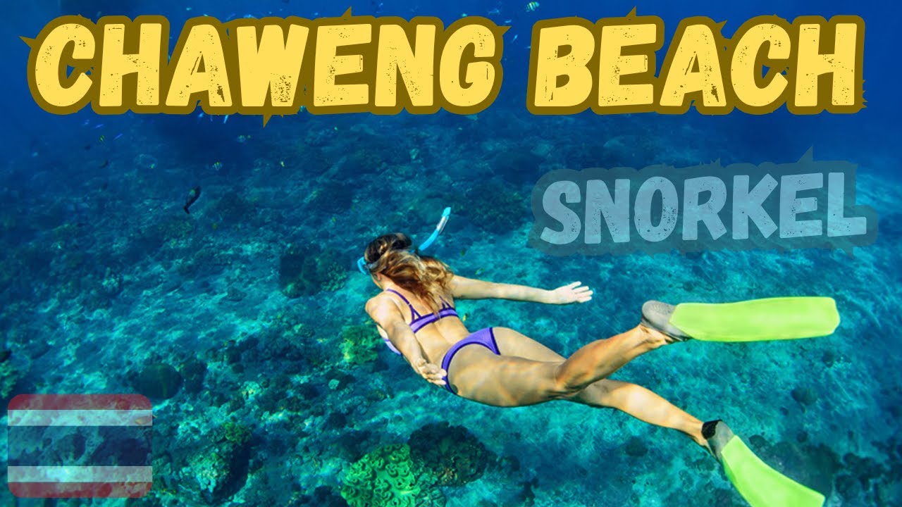 Chaweng Beach Koh Samui Piece Of Cake Snorkelling Here!