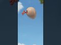 BREAKING NEWS C Est L Aile Vènement Animation De L Année