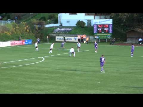 Nachspiel: Neumarkt - Austria Salzburg, 16. Runde, RLW 2013/14