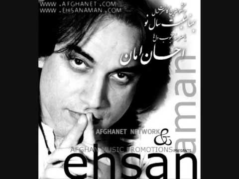 Ehsan Aman-Negina