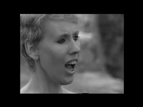 Plant Bach Ofnus - Llwyd