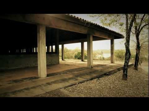 JoaoMarcosRibeiro405’s Video 107727060218 Np3iFt3xAOs