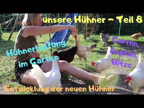 unsere Hühner Teil 8 - Sandbad und Gartenarbeit, Impfung gegen Newcastle Desease, neue Hühner, Hitze