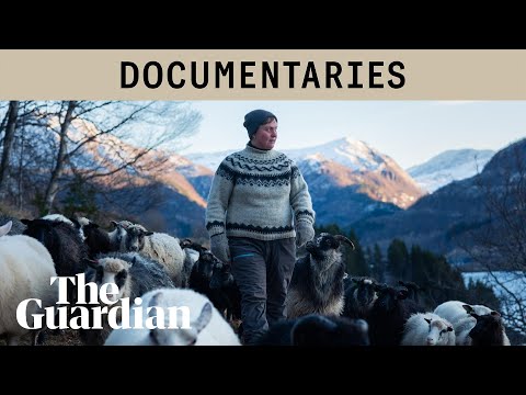 Rowdy Flock: a daughter, her dreams, and a sheep farm in Norway