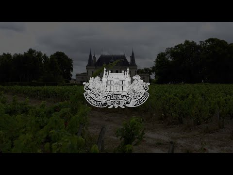 Découvrez le Château Palmer