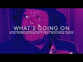 What's Going On -  ElectroBluesSociety feat Boo Boo Davis