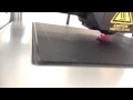 M3D Test Printing Little Cherry Fast Forward