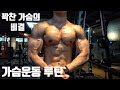 [Natural]터질듯한 가슴을 만드는 가슴운동 루틴*work out motivation