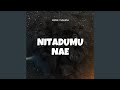 Nitadumu Nae
