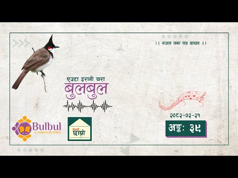 BULBUL 039 | बुलबुल - एउटा इरानी चरा || YT Audio Program || Achyut Ghimire Bulbul