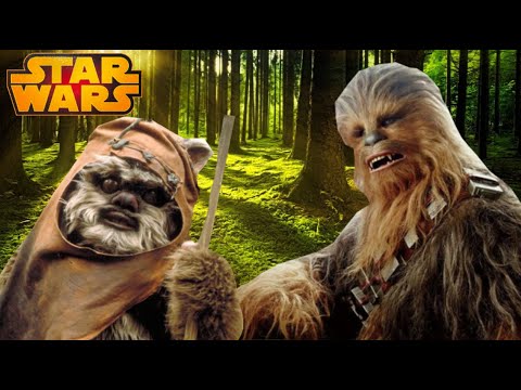 How WOOKIES are related to EWOKS - Star Wars Theories