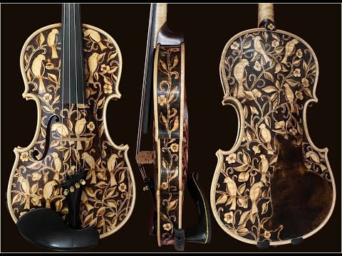 Gliga Maestro Violin - Becoming 11 - the Metamorphosis of a Cat named Eleven into a Violin named 11