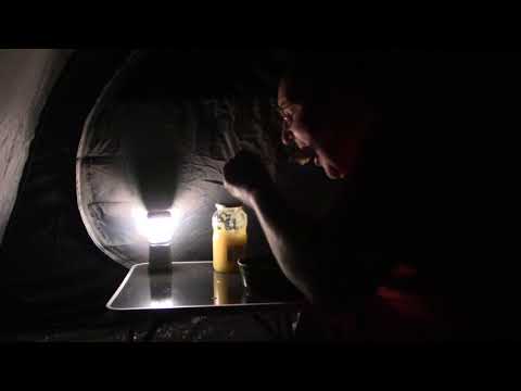 MongoTV_2641 - Spiser Æblemos i Telt i Gex Have