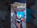 Stars in the sky but sonic sings