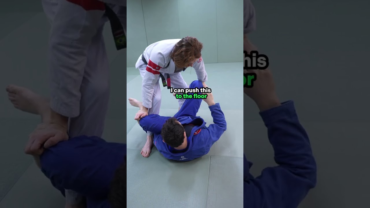 De La Riva Hook Sweep