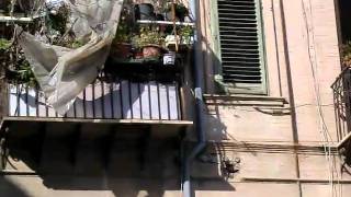 il giardino dei sogni palermo