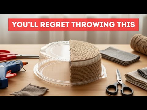 Don't Toss Those Cake Boxes! Genius Ways to Reuse Them