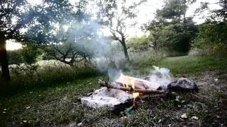 Heart in the Wreckage