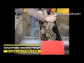 CAKE OF SESAME OIL EXTRACTION Cold Press Machine 140 Kg H