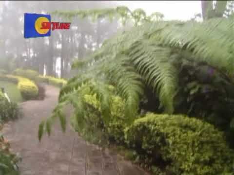 Aiso Sinduo - Bibiana kinsun